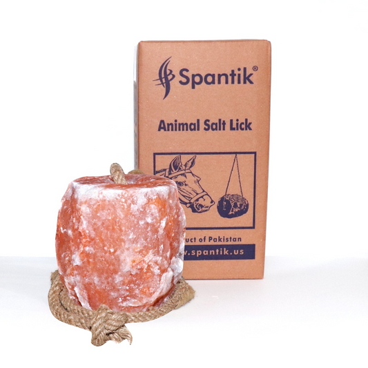 Spantik Himalayan Salt Lick 12 lb 2 Pack with Rope for Animals