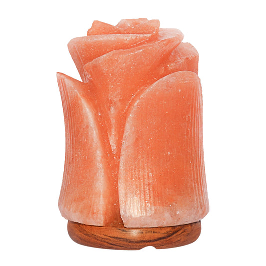 Spantik Himalayan Salt Lamp in Beautiful Tulip Shape – Hand Carved