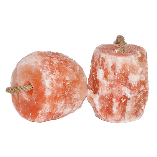 Spantik Himalayan Salt Lick 12 lb 2 Pack with Rope for Animals