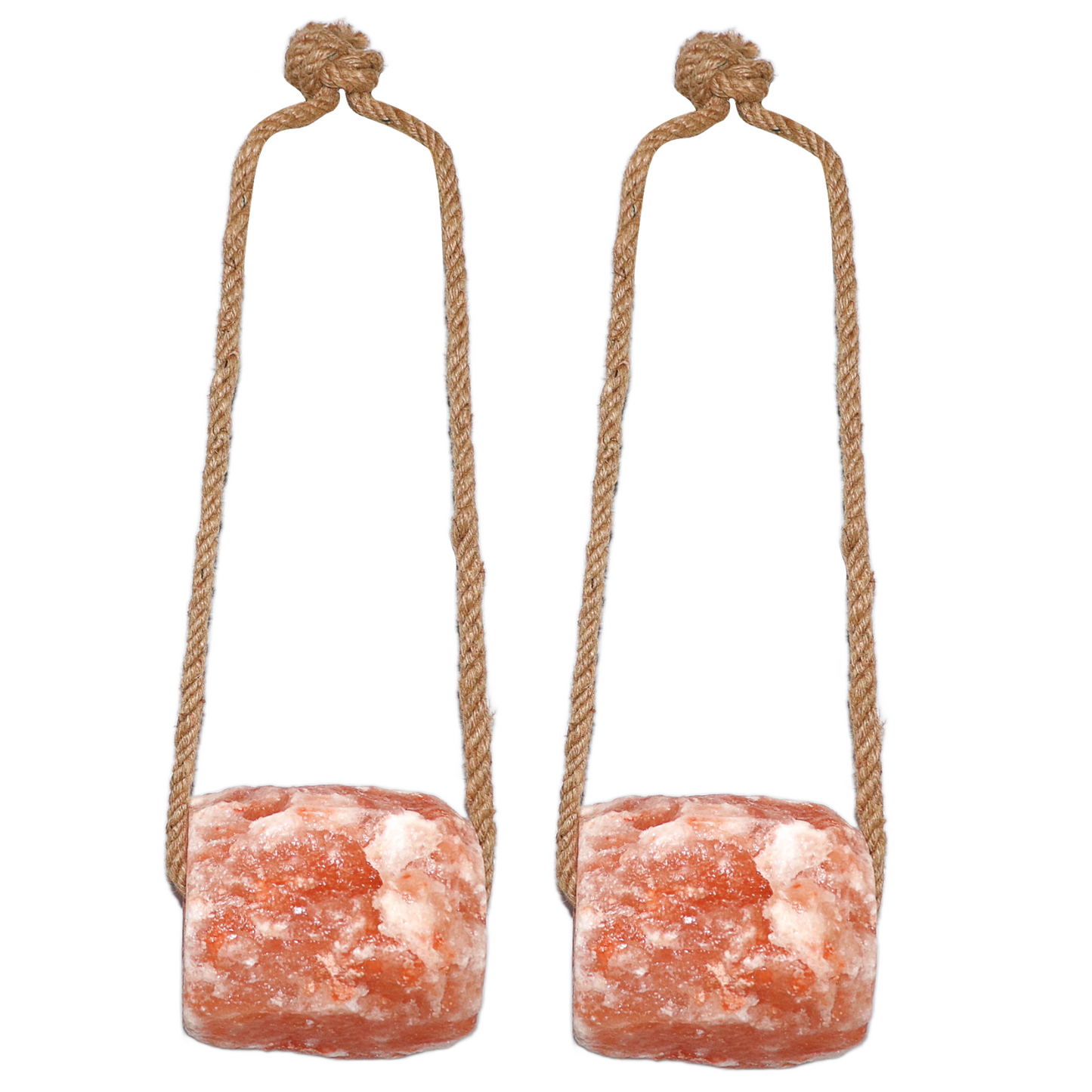 Spantik Himalayan Salt Lick 12 lb 2 Pack with Rope for Animals