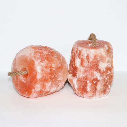 Spantik Himalayan Salt Lick 12 lb 2 Pack with Rope for Animals