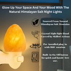Spantik Pink Himalayan Salt Lamp – Hand Carved Night Light