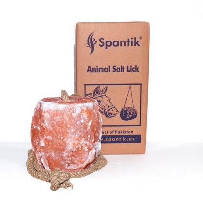 Spantik Himalayan Salt Lick 12 lb 2 Pack with Rope for Animals