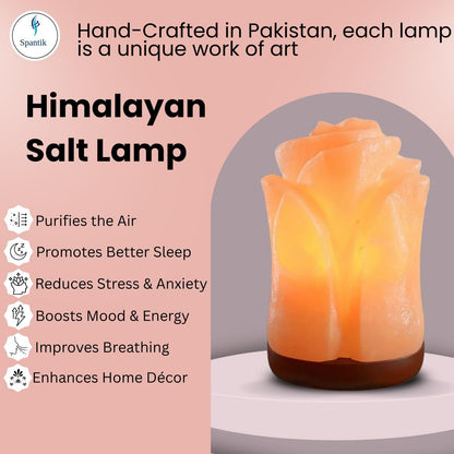 Spantik Himalayan Salt Lamp in Beautiful Tulip Shape – Hand Carved