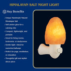 Spantik Pink Himalayan Salt Lamp – Hand Carved Night Light