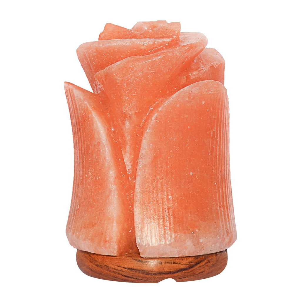 Spantik Himalayan Salt Lamp in Beautiful Tulip Shape – Hand Carved