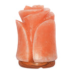 Spantik Himalayan Salt Lamp in Beautiful Tulip Shape – Hand Carved