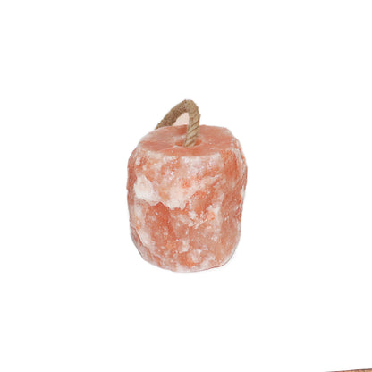 Spantik Himalayan Salt Lick 12 lb 2 Pack with Rope for Animals