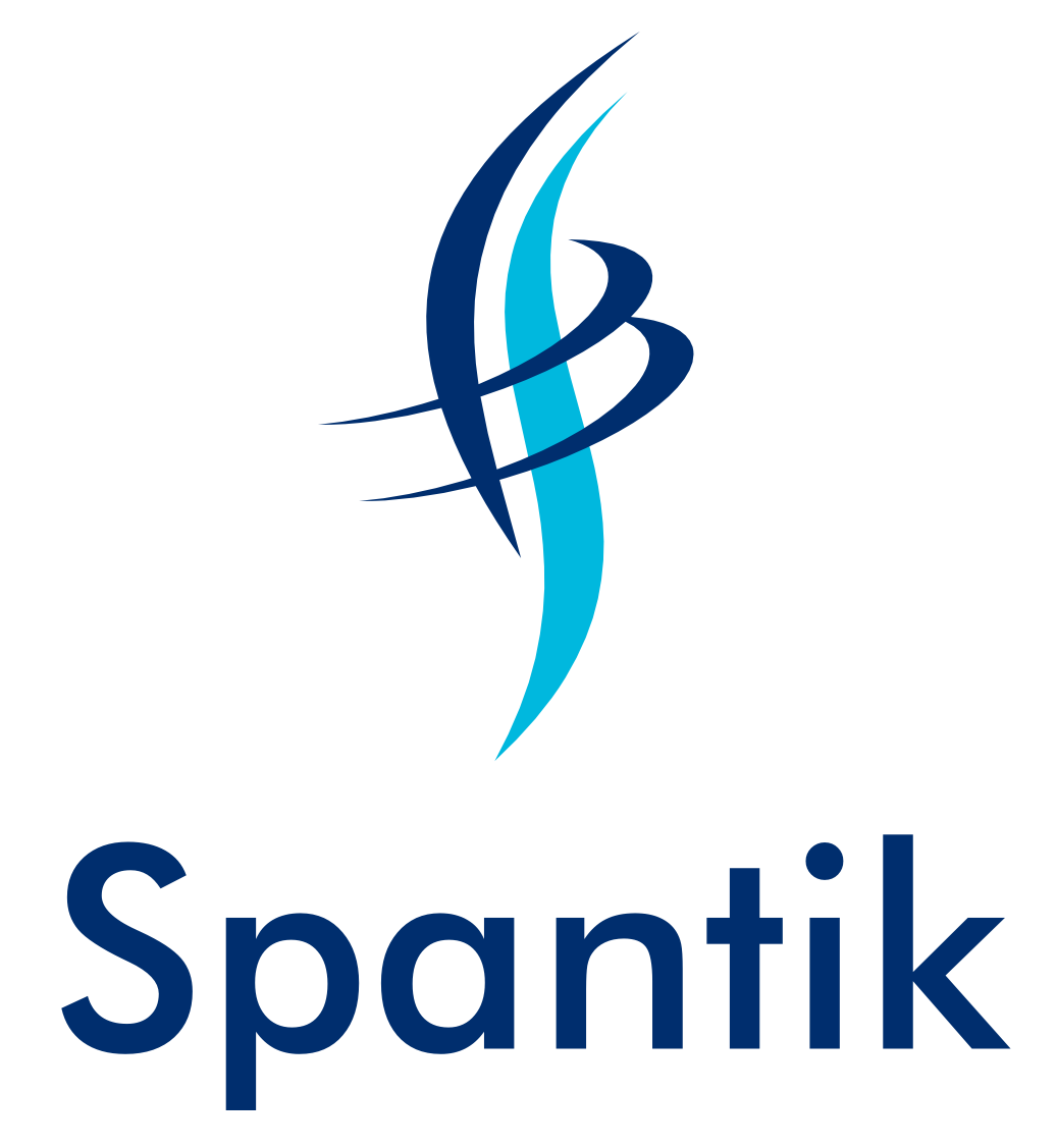 Spantik's Premium Quality Himalayan Salt Products